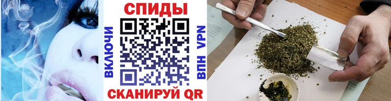 БУТИРАТ буратино  Химки 