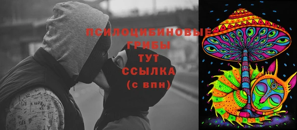 apvp Абаза